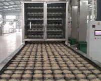 河南自熟粉丝机厂家哪家好？自熟粉丝机多少钱一台？